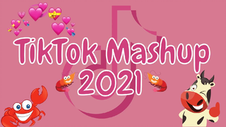 Tiktok mashup 2021