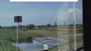 galau dulu baru kamu