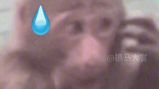 Ujung dari ilmu pengetahuan tetap saja adalah mistisisme.