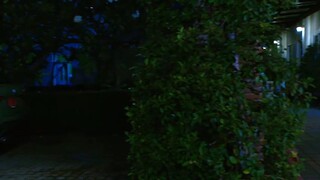 Dong Dok Ngiew (2557) CH8 EP.24 CR.VIU
