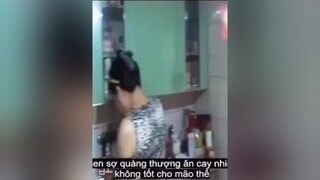 hàivl fyb Phần cuối : góc giải trí😛