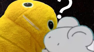 观众让我给老板表白 我照做了