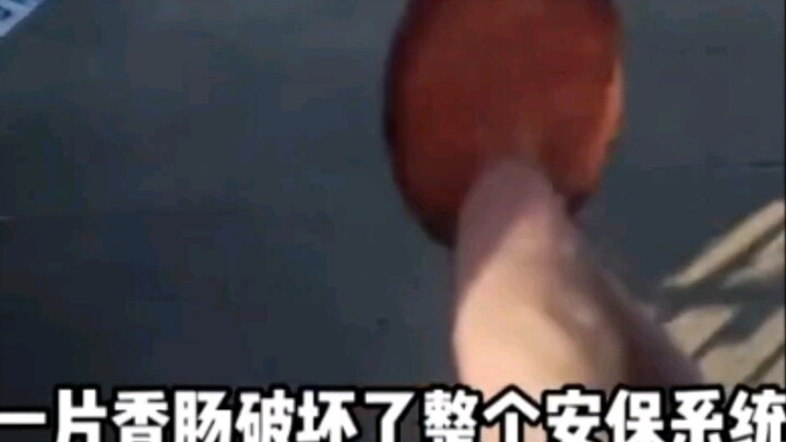 Xem ra hai con chó này không thể giữ lại được nữa, chỉ vì một miếng xúc xích mà các cậu đã bán đứng 