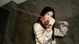 【Cúc Tịnh Y】Violin｜A Bathroom Rose Boy (220522)