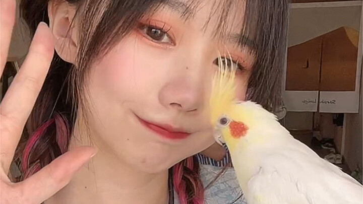 When the parrot saw a mole on its owner’s nose, it reacted in this unexpected way…?