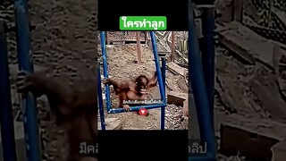 ใครทำลูก
