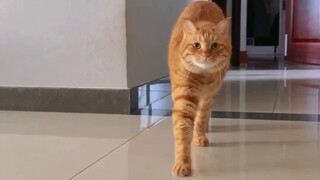 It turns out this is how you stretch your long legs!