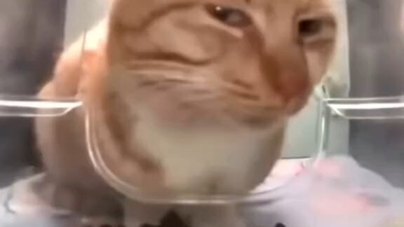 NO TITLEEE(PLEASE MONEY)