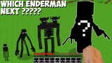 I FOUND THE RAREST ENDERMAN in Minecraft ! WHICH ENDERMAN NEXT ???