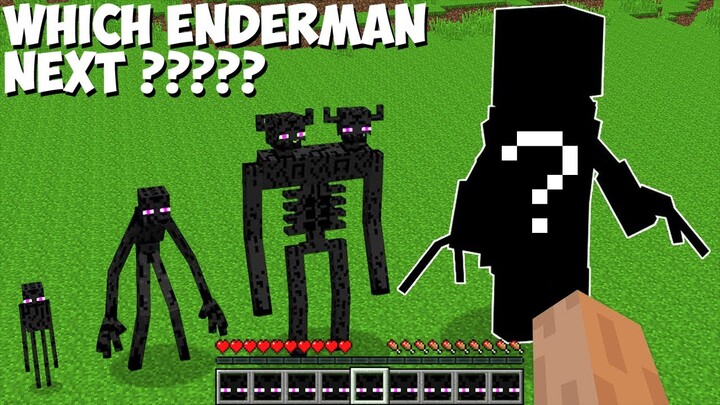 I FOUND THE RAREST ENDERMAN in Minecraft ! WHICH ENDERMAN NEXT ???