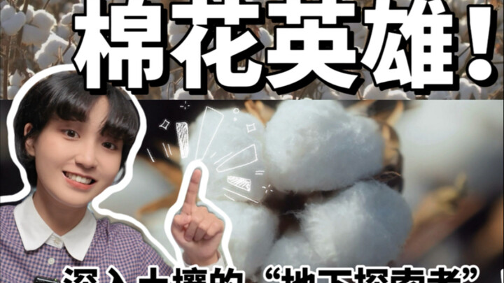 คุณเคยได้ยินไหม? แท้จริงแล้ว ผ้าฝ้ายต่างหากที่เป็นผู้พิชิตทะเลทราย!