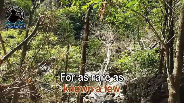 i have you karaoke