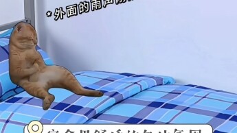 “The cozy afternoon nap vibes in the dorm”