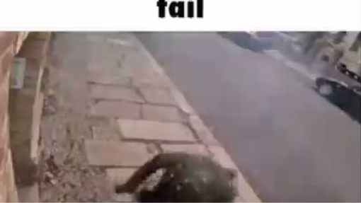 Stephan Balliet fail meme