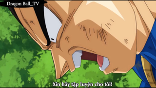 Vegeta thuyết phục Whis nhận mình làm đệ tử P1 #Dragon Ball_TV