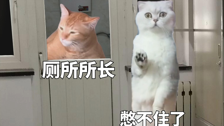 ย้อนรอยตัวละครในหอพักผ่านมีมแมว