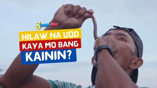 Hilaw na uod, kaya mo bang kainin? | I Juander
