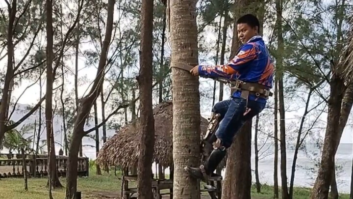 Pole Climbing Practice on Coconut