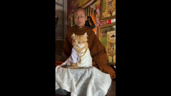 Venerable Meow-Meow and Its Dharma Protectors