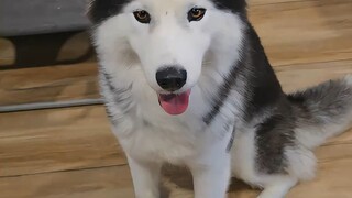 โยกๆ