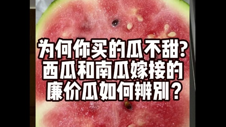 Interpretation of Food Science News