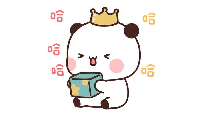 布布假装忘记一二生日