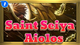 [Saint Seiya] Aiolos- Guard Goddess Wings_1