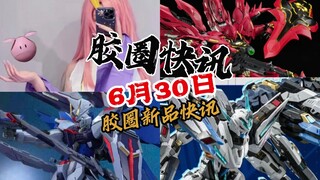 【6月30日胶圈快讯】