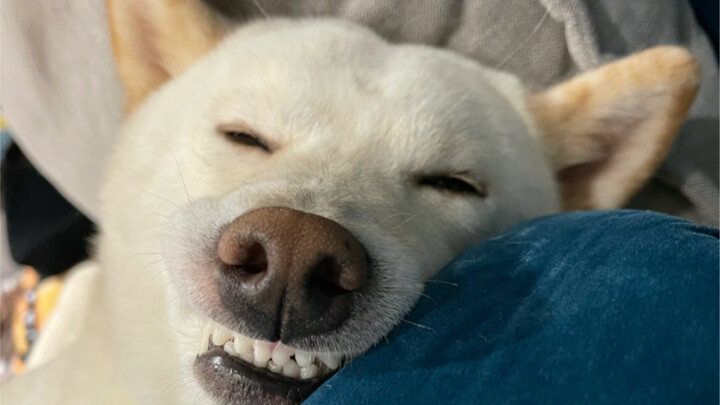 Mom's Big Boy (My Phone vs. Eight's Phone)