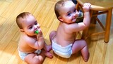 Try Not To Laugh Challenge With Funny Twin Babies || Just Laugh