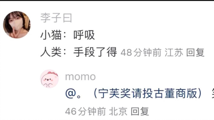 โลกขาดแมวไม่ได้