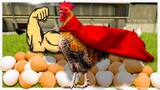 Super Strength Chickens Make ALL The Eggs // Farming Simulator 2022 Gameplay