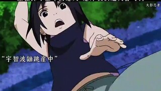 鼬在探寻生命的意义