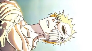 Ichigo new transformation