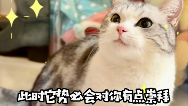 สอนวิธีพูดจายั่วยวนแมวน้อย~