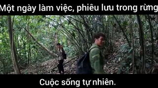 Một ngày làm việc lưu lưu trong rừng