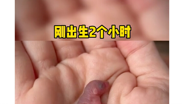 A girl changes with age—getting more and more beautiful!