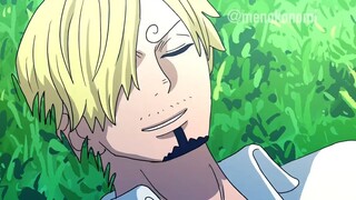 Overseas artist’s homemade animated video of the Straw Hats and Reiju celebrating Sanji’s birthday