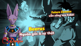 Nguồn gốc và sự thật về Beerus; Lý do Future Zamasu vẫn sống sau đòn haikai hủy diệt!