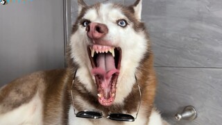 เอ้อร์ฮา: แค่ใส่แว่นกันแดด ก็ไม่แคร์ใครทั้งนั้น!