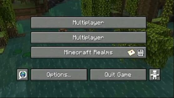 Minecraft if there was no singleplayer