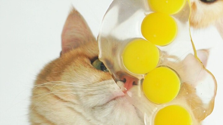 โชว์แก้วโยโย่ให้ป้าๆดู