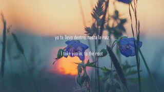Hasta La Raíz