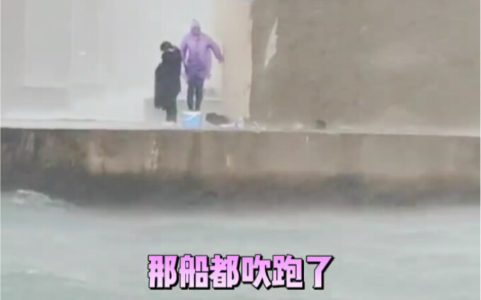 Sóng to thì cá càng đắt, nhưng ngay giây sau thuyền đã bỏ chạy.