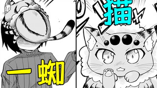 蜘蛛+猫猫？融合怪也能这么可爱！