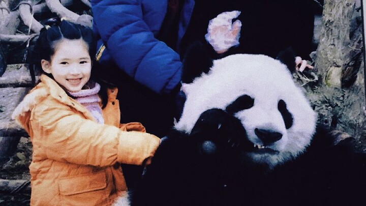 Zhao Lusi posted a photo of herself with a giant panda when she was little! Is her mischievous chara