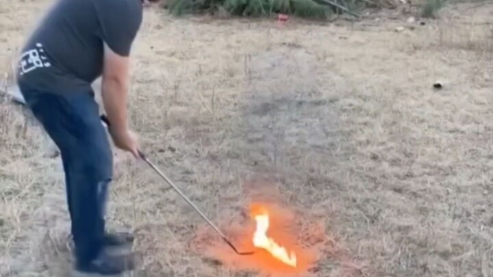Penyebab kebakaran hutan di Amerika telah terungkap