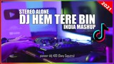 DJ HEM TERE BIN X STEREO ALONE X INDIA MASHUP TIKTOK ( Dany saputra)