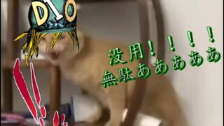 『哈人恶兽』(耄耋)