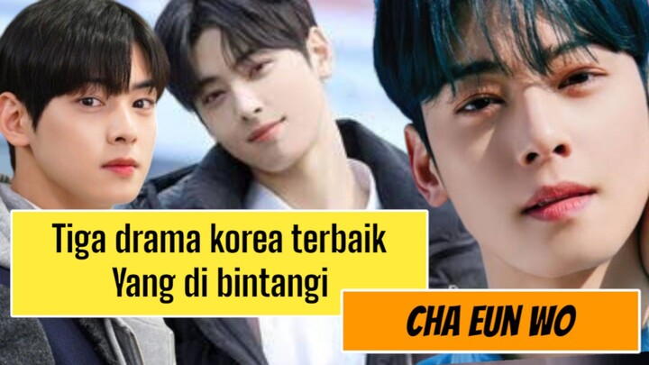 Drama korea populer yang di bintangu cha eun wo